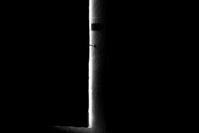 Michael Kunze: Aus dem  Dunkel ins Licht